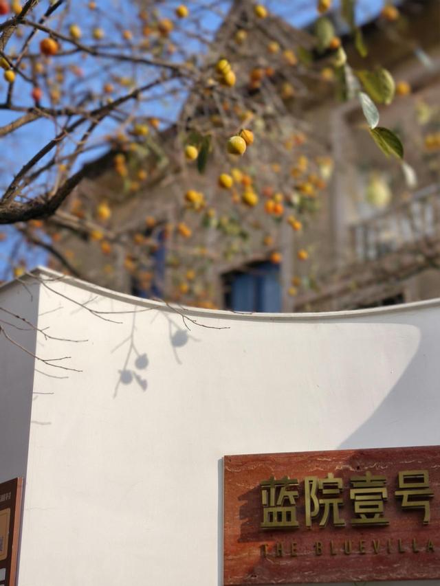 宁波乡村游玩出“新花样”，农文旅融合激活共富新赛道