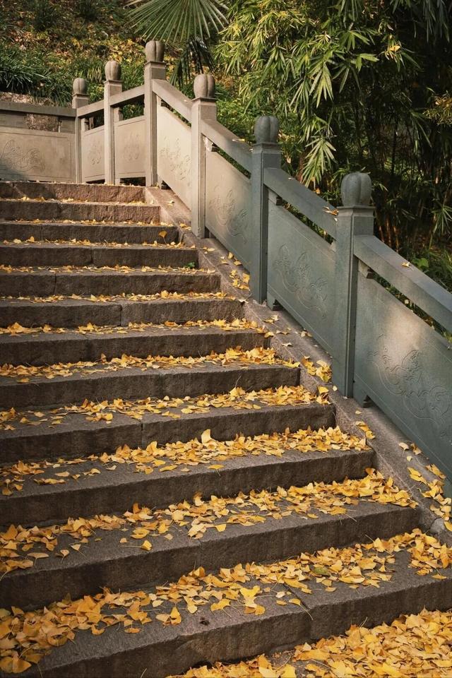 秋日限定“双骄”：从赏到玩转的完整攻略！