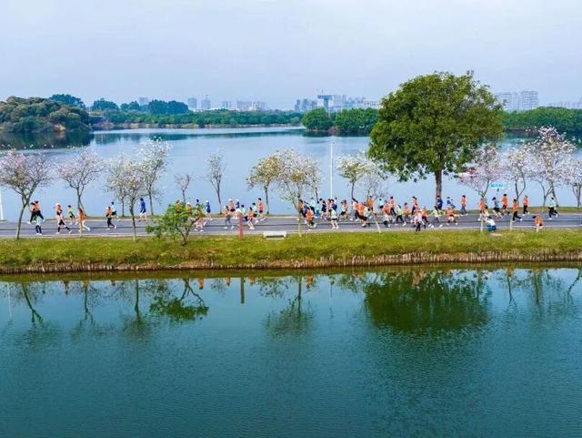 这份松山湖N日游玩法，让我连跑3年松马都不想停→