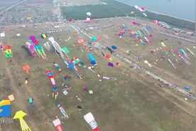 风筝竞飞寓意美好 看看潍坊风筝有多“硬核”图片
