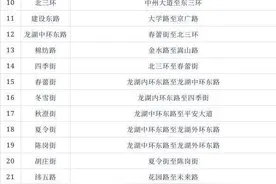 停车请规范！郑州49套违停抓拍系统即将投用（附位置）图片