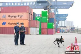 广州海关使用“机器狗”进行辐射探测图片