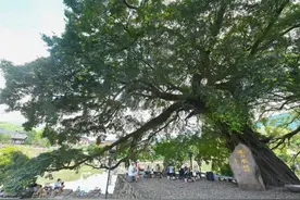 “最佳旅游乡村”总数第一！中国乡村惊艳世界图片