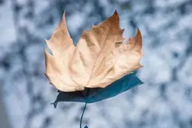 8°C、雨又来了！南京最新预测图片