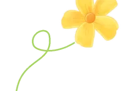 【奋楫谱新篇  安义勇争先】我县20万亩油菜开镰收割   绘就金色丰收画卷图片