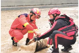 20多支外地救援队伍齐聚桂林，彰显大爱图片