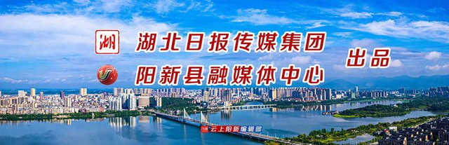 全省首个！阳新仙岛湖度假区集齐国家甲、乙、丙三级旅游民宿