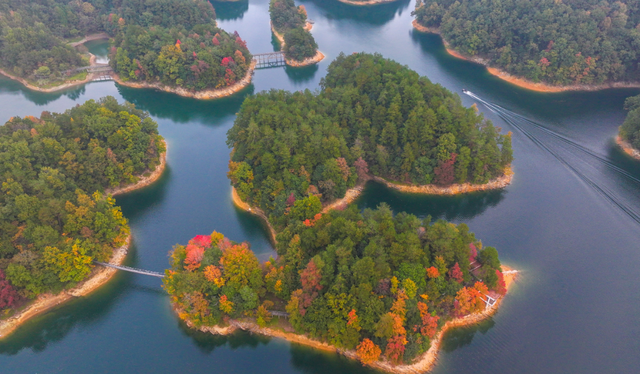 我在这里，等你→