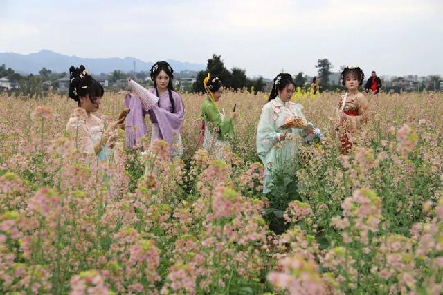 一朵花，璧山把风景变成“丰景”