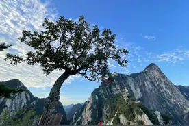 从“谷底”归来的华山图片