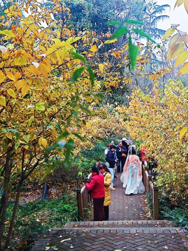 周末赶紧冲！趁着阳光明媚去寻香→