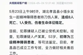 孝感精神患者杀害8人前即将被送医 当地曾开展专项培训减少肇祸事件图片