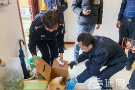 国家二级保护动物白鹭受伤 市南公安联合多部门开展救助图片