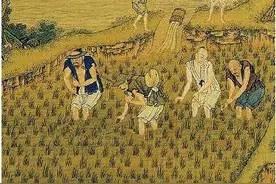 明清稻米背后的经济学图片