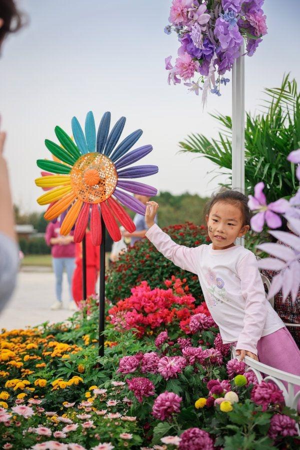 刷屏1个月正式闭幕，武汉金秋菊展留下这些名场面