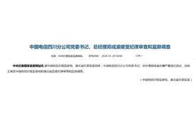 郑成渝，被查图片