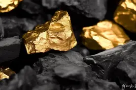 中国驻中非使馆提醒中国公民：远离非法采金活动图片