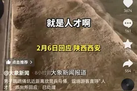 男子跳进兵马俑一号坑受罚，此前还有假兵马俑被游客发现“眼睛在动”，警察将其抬出坑图片