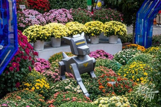 从8点堵到现在！杭州顶流回归