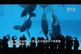 珠海横琴长隆“宇宙飞船”即将试业图片