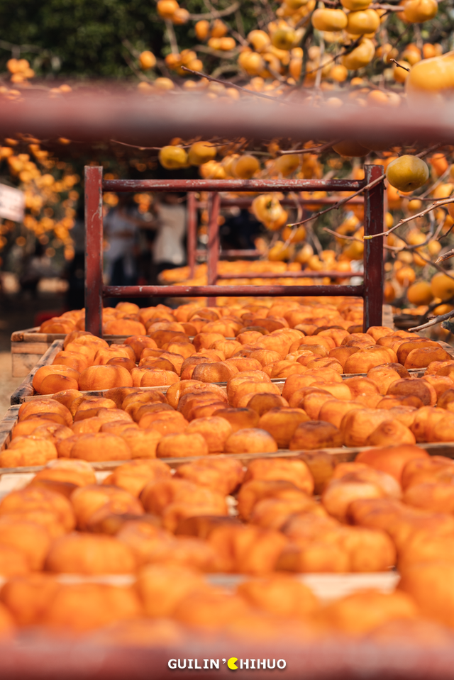 冬至丨解锁桂林的多彩冬天！