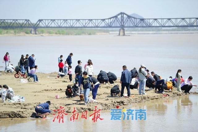 假日拥抱“母亲河”，济南泺口浮桥变身“观景台”