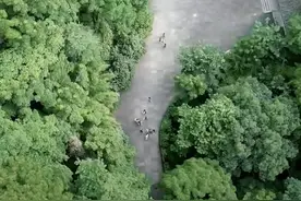 宇辉，你知道吗？大足石刻千手观音的修复缘于……图片