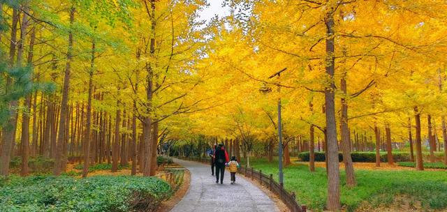 2026济南地铁漫游指南！坐地铁解锁全城吃喝玩乐，这篇全攻略收藏好