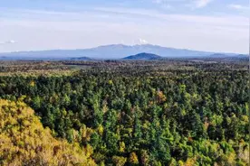 吉林省胜利实现连续44年无重大森林火灾图片