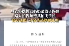 网传信阳新县一城管踢翻摆摊老人菜篮、打掉拍摄者手机？官方通报图片