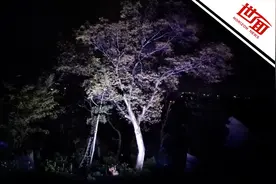 国际丨日本一地出现神秘地鸣 居民担忧是地震或火山先兆