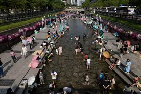 韩国首尔经历今年首个“热带夜”图片