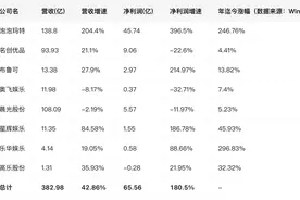泡泡玛特领跑，布鲁可海外狂飙，多家潮玩企业上半年净利大增，下一个IP在哪图片