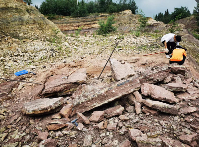 这个小盒子里的化石材料，产生了非常多举世瞩目的成果	，有十几篇顶刊文章｜卢静 一席少年第36位讲者