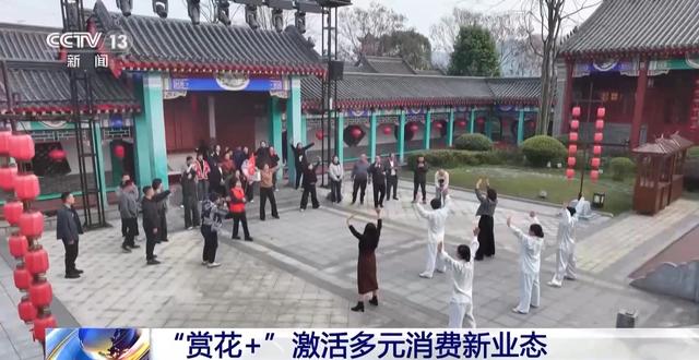 视频丨踏青赏花、采春茶、吃春菜 各地特色活动邀你尽享春日惬意