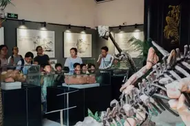 升级科普体验！广州科普之夏高口碑活动推荐，解锁硬核科普新体验图片