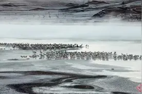 【早安云南·云游】万物和谐共生！今天，让我们一起探秘云南湿地→图片