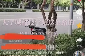 绿化带果树上的水果能吃吗？相关部门：果树“很受伤”，果实不宜食用！图片