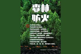 2025年1月12日｜森林防火图片