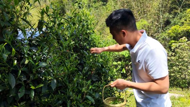 融议心安 |“双瀑秘境”的悄然改变