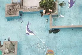 一个泳池多份合同 业主没法用图片