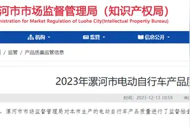 2023年河南省漯河市电动自行车产品质量监督抽查结果图片