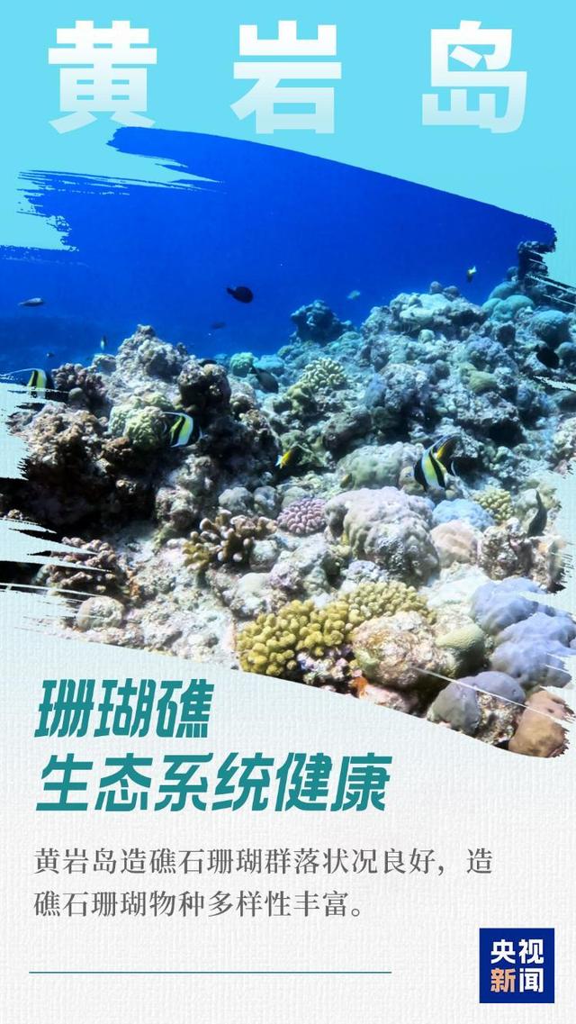 颜值实力并存！沉浸式领略黄岩岛独特风光