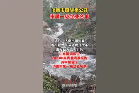 果然视频丨济南市国资委公开市属一级企业名单图片
