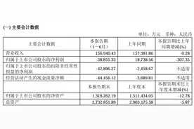 V观财报｜沪硅产业上半年盈转亏：半导体硅片行业将触底图片