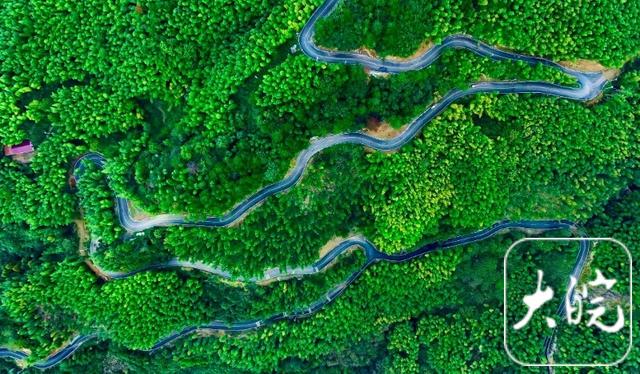 旌德：四好农村路助茶旅融合