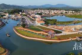 舌尖上的阳西｜冬日程村蚝肥，蚝乡蚝油飘香图片