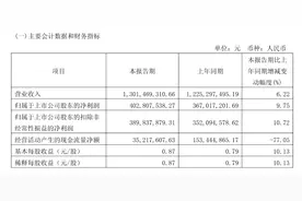 金山办公Q1净利润增长9.75%，受信创采购流程影响，WPS软件业务收入下降20.99% | 财报见闻图片