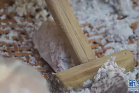 “芋泥脑袋”“抹茶脑袋”，美食社交为何流行起来？图片