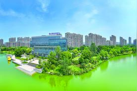 “竞”在上海 三探“七虎”竞南通图片